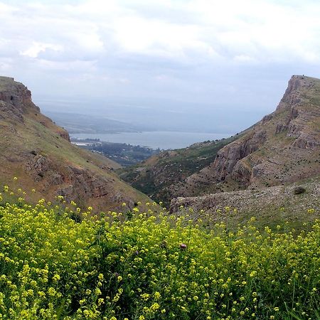 Arbel Holiday Homes Dış mekan fotoğraf