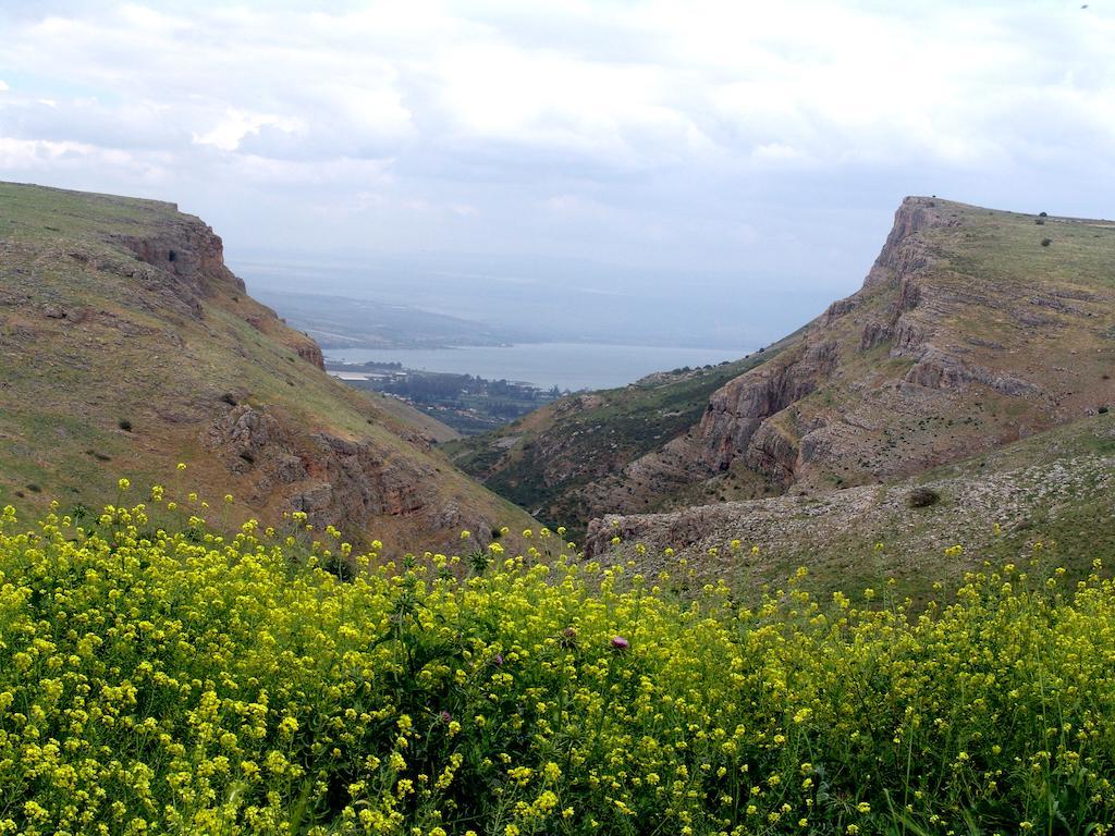 Arbel Holiday Homes Dış mekan fotoğraf